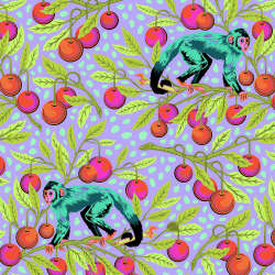 Free Spirit - Monkey Wrench - PWTP134.DRAGONFRUIT