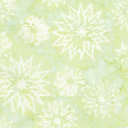 Timeless Treasures - Tonga Wallflowers | Manufacturer Discontinued - Tonga-B4007-Sprout