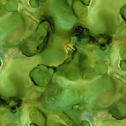 Free Spirit - Alchemy - PWTH177.ELIXIR Alchemy