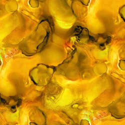 Free Spirit - Alchemy - PWTH177.RADIANT Alchemy