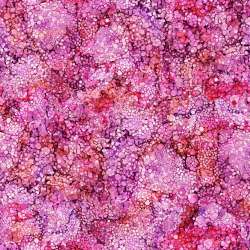 Northcott - Bliss Bold and Bright - DP23887-26