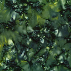 Hoffman California Fabrics - Greenhouse - 843-580-Cypress