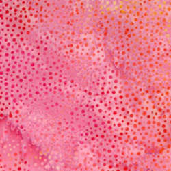 Hoffman California Fabrics - 885 Dot Batiks - 885-497-Guava