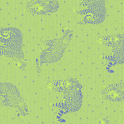 Free Spirit - Daydreamer - PWTP174.KIWI-Orientation