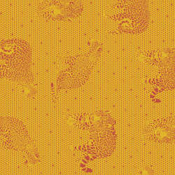 Free Spirit - Daydreamer - PWTP174.PAPAYA-Orientation