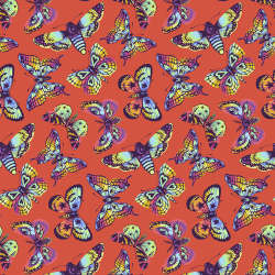 Free Spirit - Daydreamer - PWTP172.PAPAYA