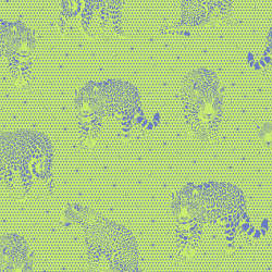 Free Spirit - Daydreamer - PWTP174.KIWI