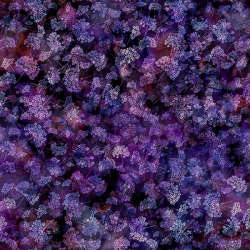 Hoffman California Fabrics - Springtime Romance - T4882-91-Amethyst