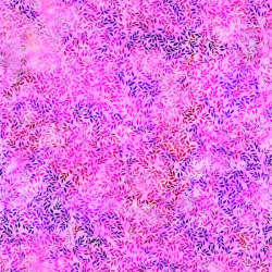 Hoffman California Fabrics - Springtime Romance - T4884-352-Lily