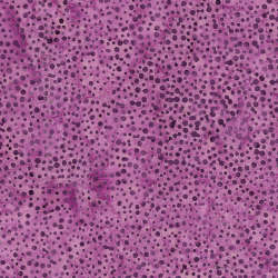 Island Batik - Foundations Blenders - BE31-B1