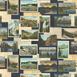 Moda - Outdoorsy - 7382-15