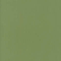 Moda - Bella Solids - 9900-102