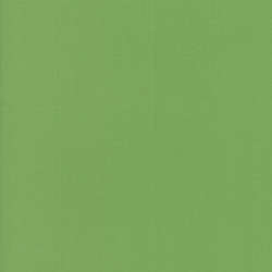 Moda - Bella Solids - 9900-101