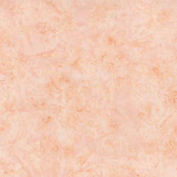 Timeless Treasures - Tonga Wallflowers Spring 2022 - Tonga-B8786 Tickled