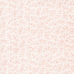 Moda - Sanctuary - 44255-11