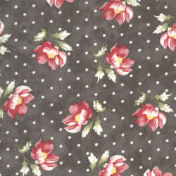 Moda - Sanctuary - 44251-16