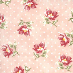 Moda - Sanctuary - 44251-12