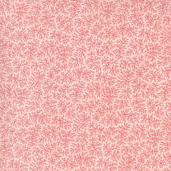 Moda - Sanctuary - 44255-12