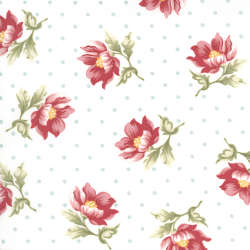 Moda - Sanctuary - 44251-11