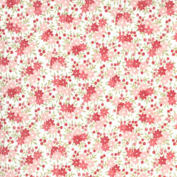 Moda - Sanctuary - 44253-11