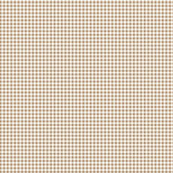 Riley Blake Designs - Bee Ginghams - C12559-BROWNSUGAR