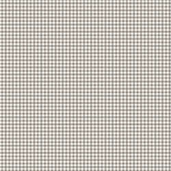 Riley Blake Designs - Bee Ginghams - C12560-PEBBLE