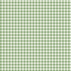 Riley Blake Designs - Bee Ginghams - C12552-BASIL