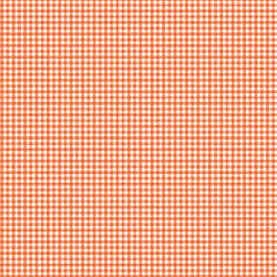 Riley Blake Designs - Bee Ginghams - C12560-AUTUMN