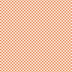 Riley Blake Designs - Bee Ginghams - C12556-AUTUMN