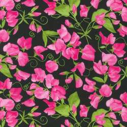 Robert Kaufman - Penelope - FLHDN-20872-181