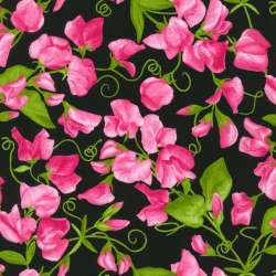 Robert Kaufman - Penelope - FLH-20872-2