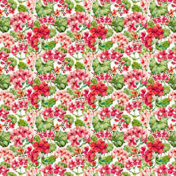 In The Beginning - Watercolor Beauty - 1gsh_1