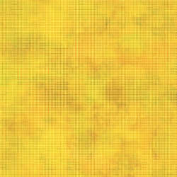 In The Beginning - Dit Dot Evolution - 1dde_19