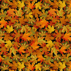 Timeless Treasures - Thankful - Harvest-CM1289 Black