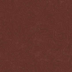 Riley Blake Designs - National Parks 2022 R4 - C13293-BROWN