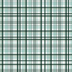 Riley Blake Designs - It's a Boy - C13253-HUNTER