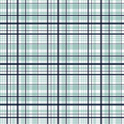 Riley Blake Designs - It's a Boy - C13253-AQUA