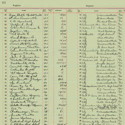 Riley Blake Designs - Art Journal - C13045-GREEN