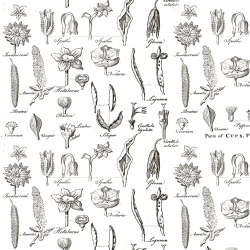 Riley Blake Designs - Art Journal - C13042-WHITE