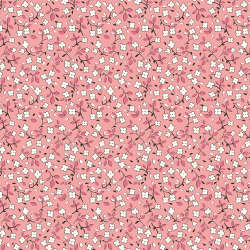 Riley Blake Designs - Home Town - C13590-HEIRCORAL