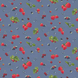 Riley Blake Designs - Monthly Placemats - C12411-DENIM