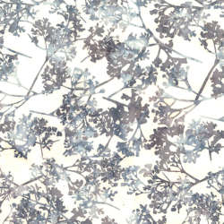 Hoffman California Fabrics - Stone Fossil - V2532-508-Breakers