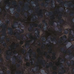 Hoffman California Fabrics - Stone Fossil - V2531-704-Deep-Earth