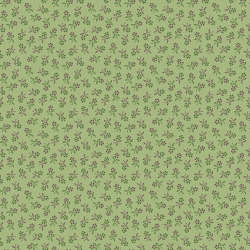 Riley Blake Designs - Autumn - C14664-LETTUCE