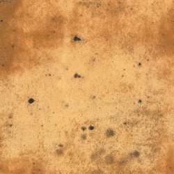 Free Spirit - Provisions - PWTH115.8AMBE