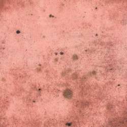 Free Spirit - Provisions - PWTH115.8ROSE