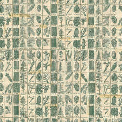 Free Spirit - Holidays Past - PWTH204.GREEN