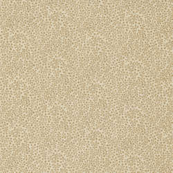 Moda - Favorites Backgrounds - 9779 11