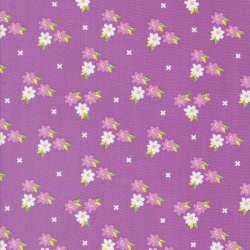 Moda - Laguna Sunrise - 37682 17