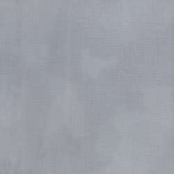 Timeless Treasures - ColorStock ~ Silhouettes - JN-C2970 SILVER